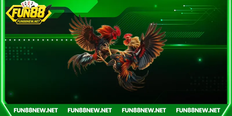 Hệ thống đặt cược thông minh và tiện lợi